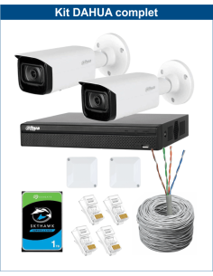 KIT DAHUA, DAH-IPP2IEXT2B40C, NVR + HDD + 2xCAMERA, 2MP, IR 40m