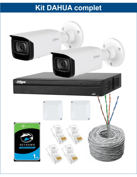 KIT DAHUA, DAH-IPP2IEXT2B40C, NVR + HDD + 2xCAMERA, 2MP, IR 40m