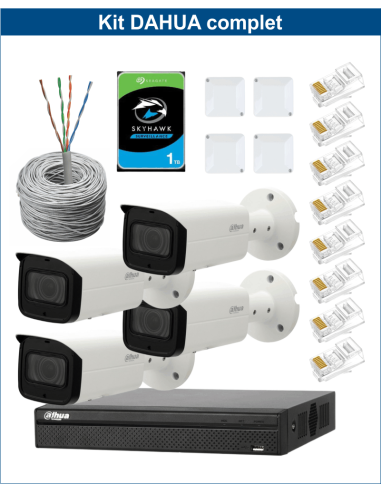 KIT DAHUA, DAH-IPP4IEXT2B60C, NVR + HDD + 4xCAMERA, 2MP, IR 60m