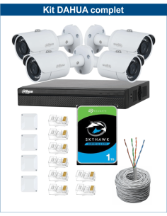 KIT DAHUA, DAH-IPP4IEXT2B30C, NVR + HDD + 4xCAMERA, 2MP, IR 30m
