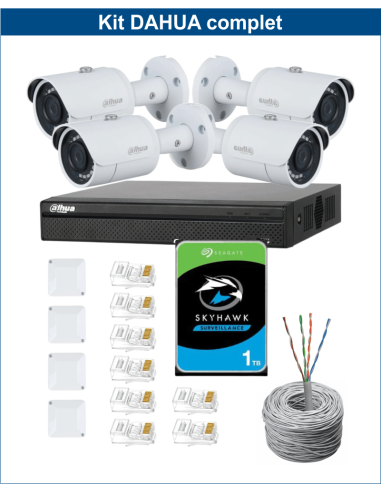 KIT DAHUA, DAH-IPP4IEXT2B30C, NVR + HDD + 4xCAMERA, 2MP, IR 30m