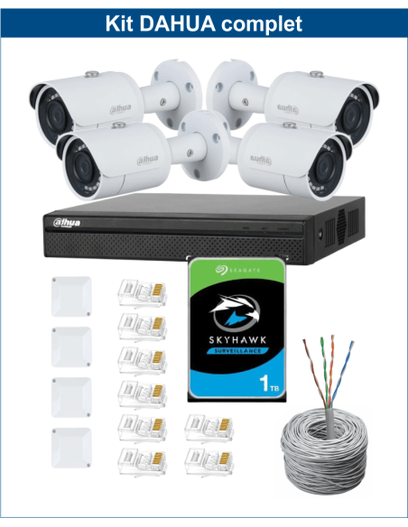 KIT DAHUA, DAH-IPP4IEXT2B30C, NVR + HDD + 4xCAMERA, 2MP, IR 30m