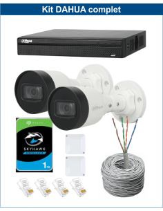 KIT DAHUA, DAH-IPP2IEXT2B30C, NVR + HDD + 2xCAMERA, 2MP, IR 30m