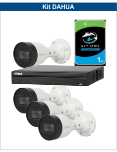 KIT DAHUA, DAH-IPP4IEXT2B30P, NVR + HDD + 4xCAMERA, 2MP, IR 30m