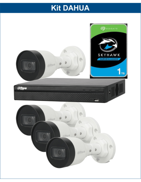 KIT DAHUA, DAH-IPP4IEXT2B30P, NVR + HDD + 4xCAMERA, 2MP, IR 30m