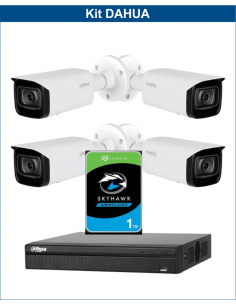 KIT DAHUA, DAH-IPP4IEXT2B40P, NVR + HDD + 4xCAMERA, 2MP, IR 40m