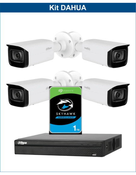 KIT DAHUA, DAH-IPP4IEXT2B40P, NVR + HDD + 4xCAMERA, 2MP, IR 40m