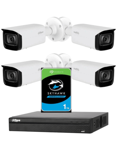 KIT DAHUA, DAH-IPP4IEXT2B40P, NVR + HDD + 4xCAMERA, 2MP, IR 40m