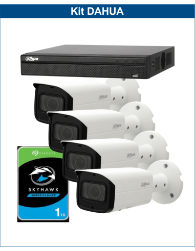 KIT DAHUA, DAH-IPP4IEXT2B60P, NVR + HDD + 4xCAMERA, 2MP, IR 60m