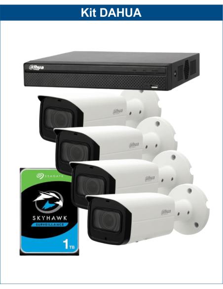 KIT DAHUA, DAH-IPP4IEXT2B60P, NVR + HDD + 4xCAMERA, 2MP, IR 60m