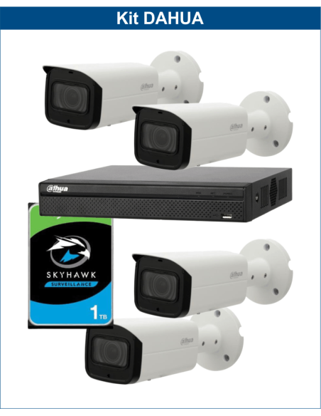 KIT DAHUA, DAH-IPP4IEXT2B50P, NVR + HDD + 4xCAMERA, 2MP, IR 50m
