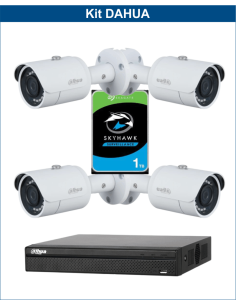 KIT DAHUA, DAH-IPP4IEXT2B30P, NVR + HDD + 4xCAMERA, 2MP, IR 30m
