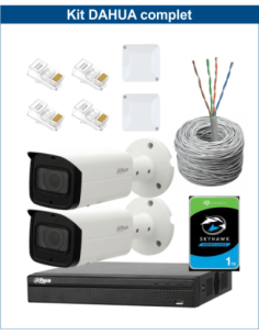 KIT DAHUA, DAH-IPP2IEXT2B60C, NVR + HDD + 2xCAMERA, 2MP, IR 60m